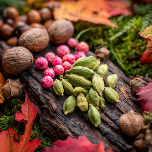 Autumn Vibes (Type) Fragrance Oil