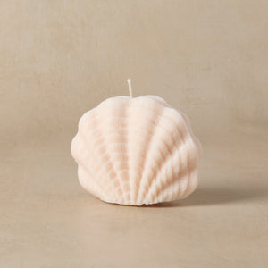 Textured Shell Silicone Mold