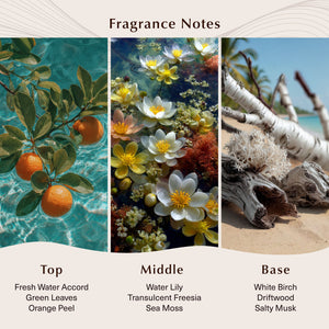 Sunset Lagoon Fragrance Oil