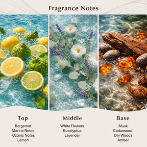 Coastline Glow Fragrance Oil