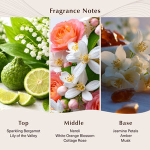 Solar Amber Fragrance Oil