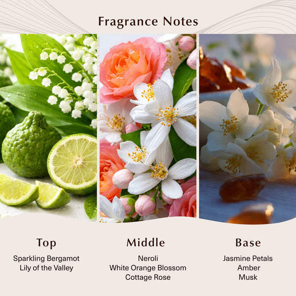 Solar Amber Fragrance Oil