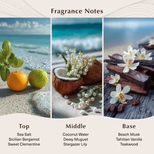 Coconut Shore Fragrance Oil