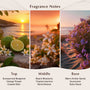 Bronzed Boardwalk Fragrance Oil