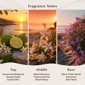Bronzed Boardwalk Fragrance Oil