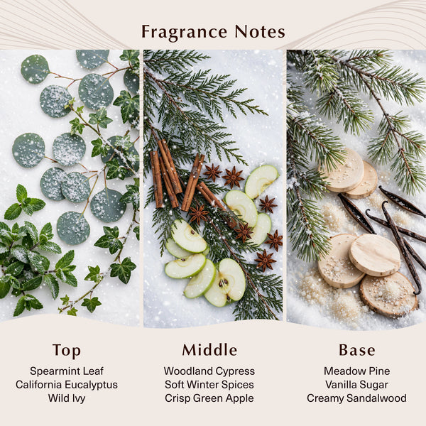 Frosted Cypress & Mint Fragrance Oil - Zoom Media 2