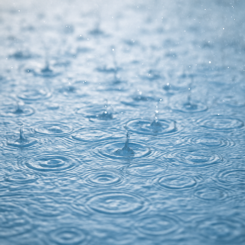 Rainwater Fragrance Note