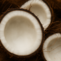 Coconut Fragrance Note