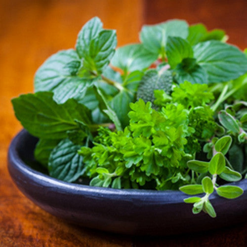 Basil, Sage, Mint Fragrance Oil