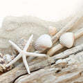 Beach Wood Fragrance Oil
