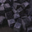 Black Dye Chips