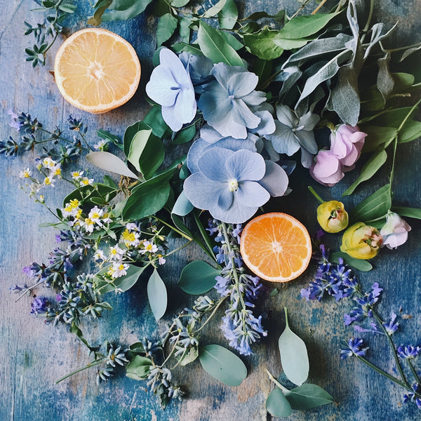 Blue Lavender & Bergamot Fragrance Oil