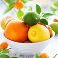 Citrus Odor Eliminator Fragrance Oil