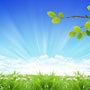 Clean Air Fragrance Oil