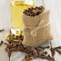 Clove Fragrance Oil