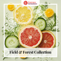 Field & Forest Collection
