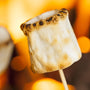 Fire Roasted Marshmallows Fragrance Oil