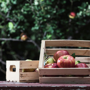 Honeycrisp Harvest Fragrance Oil