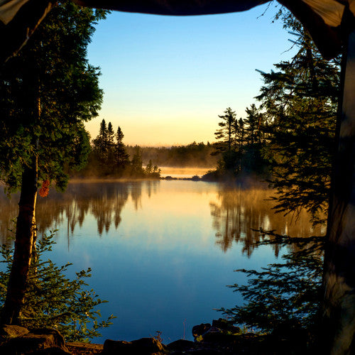 Lakeside Pine Fragrance Oil