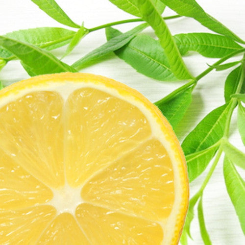 Lemon Verbena Fragrance Oil
