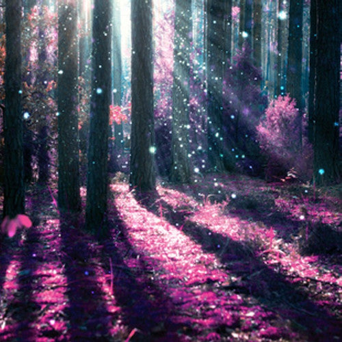 Merlins Forest Fragrance Oil