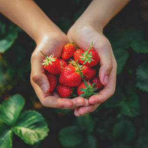 Sweet Strawberry (Type) Fragrance Oil