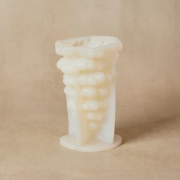 Large Pine Tree Silicone Mold