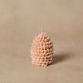 Silicone Pinecone Mold