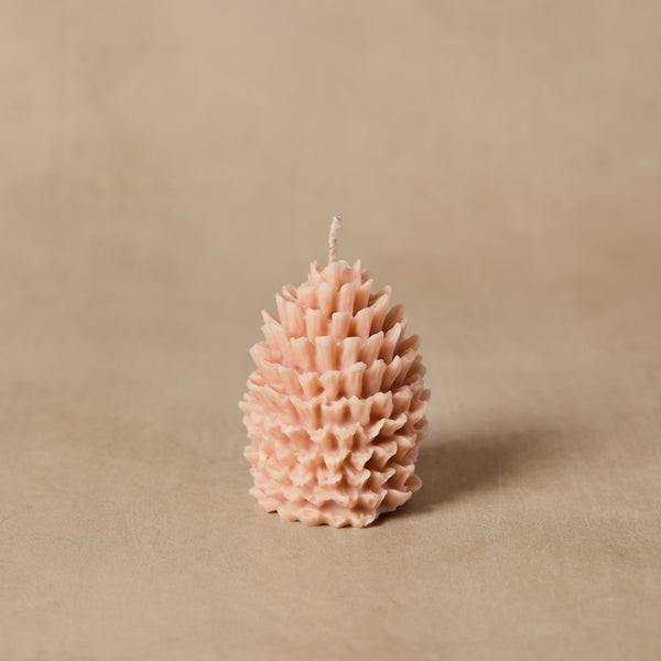 Silicone Pinecone Mold