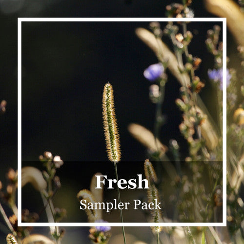 Fresh Fragrance Oil Sampler