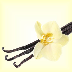 Vanilla Fragrance Oil - Featured Image