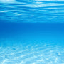 Cool Water (Type) Fragrance Oil