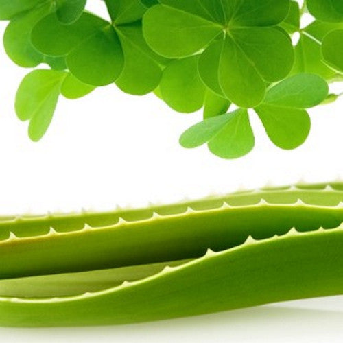 Green Clover & Aloe (Type) Fragrance Oil