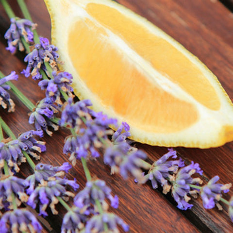 lemon lavender plant Lemon Lavender Fragrance Oil - Fragrance Oils for Candle Making