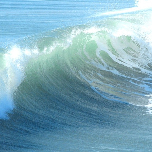 Ocean Mist Fragrance Oil