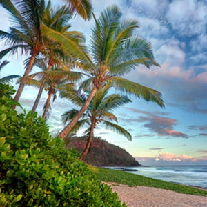 Pink Sands (Type) Fragrance Oil