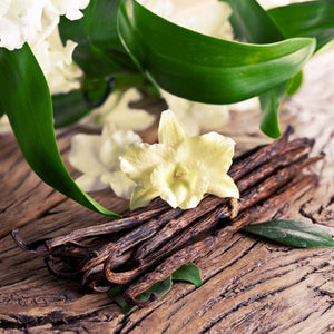 Sandalwood Vanilla Fragrance Oil - Featured Image